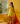 Women's Designer Yellow Printed Sharara Set | Basil Leaf